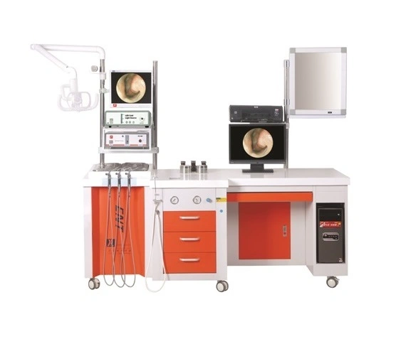 ENT Diagnostic and Treatment unit consisting of a monitor and computer, essential for tracking patient information and facilitating Ear,Nose, and Throat operations