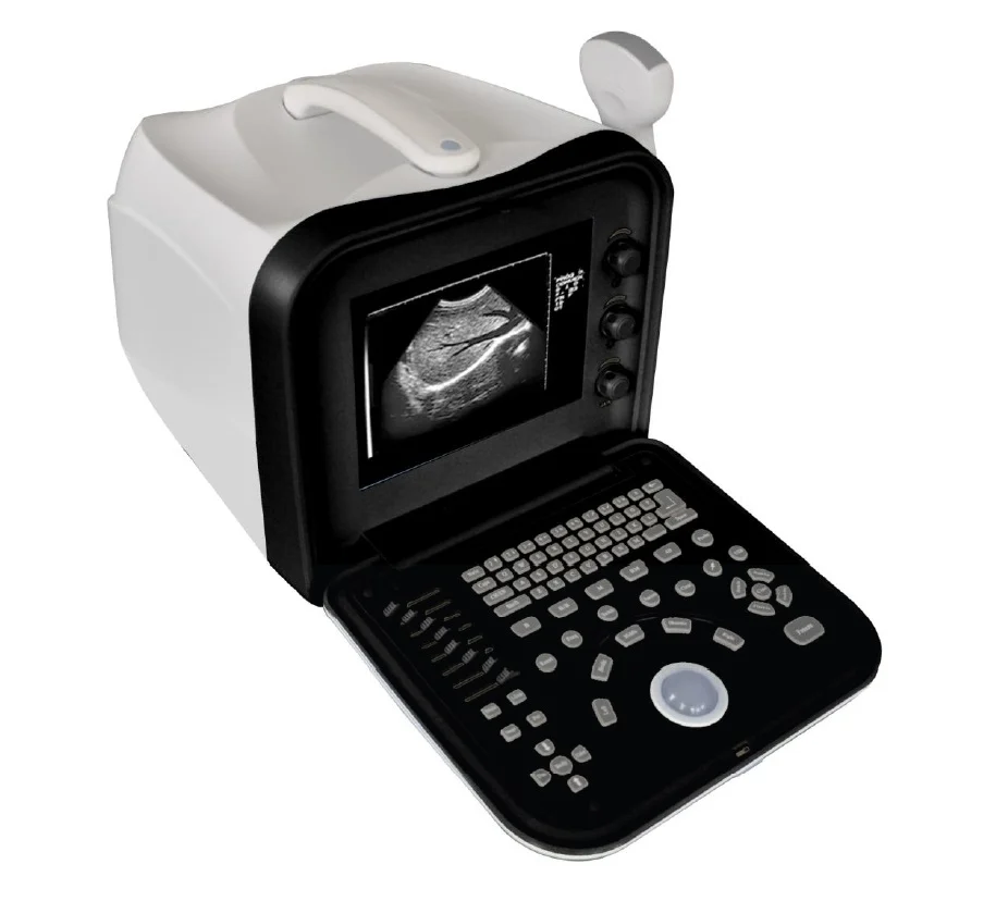 'Portable black/white ultrasound'