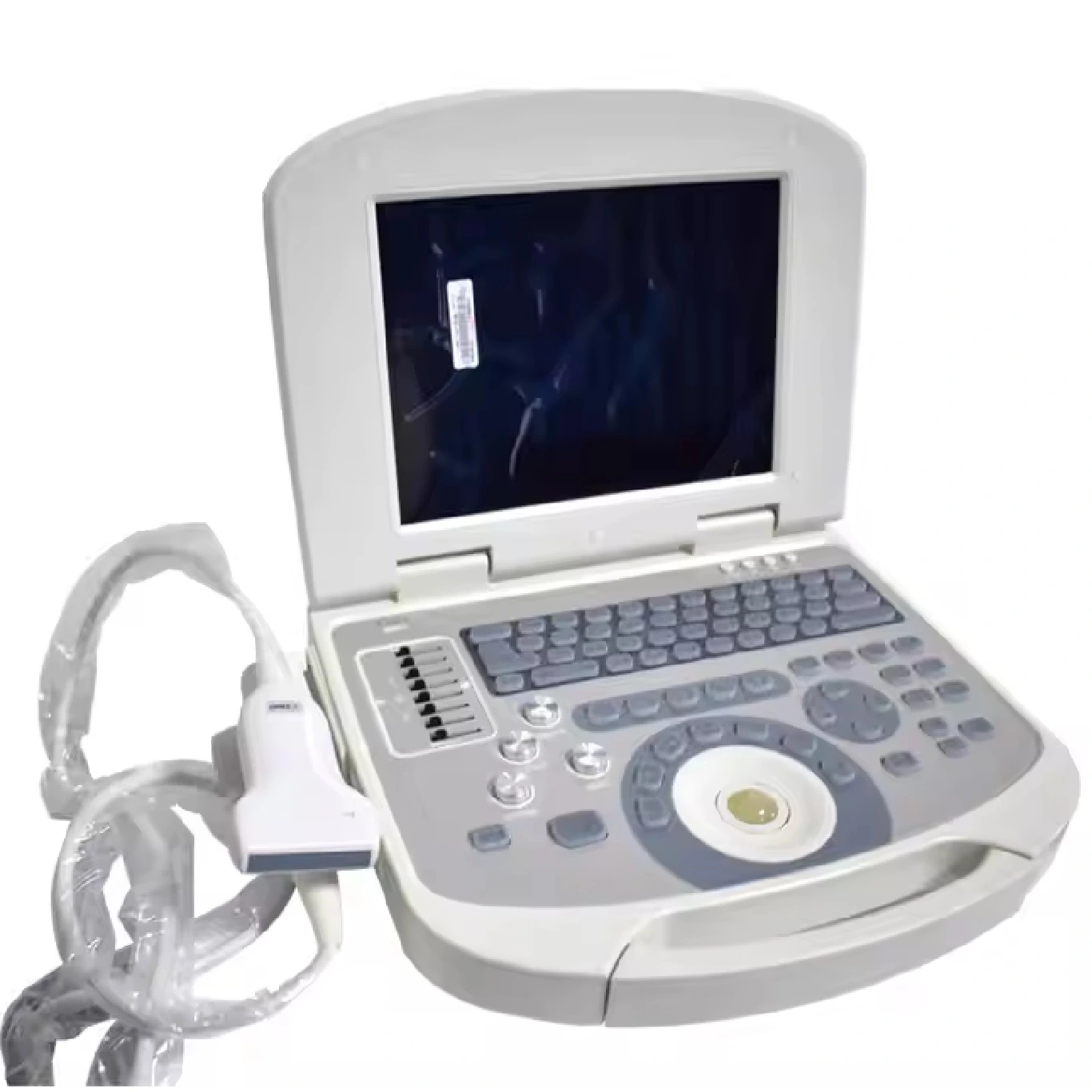 Portable ultrasound