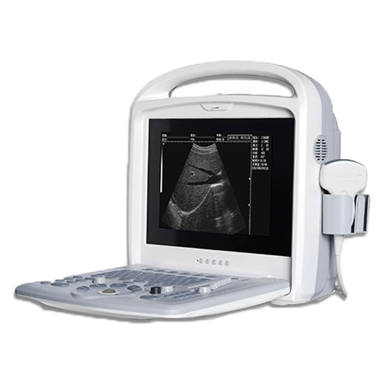 Portable ultrasound