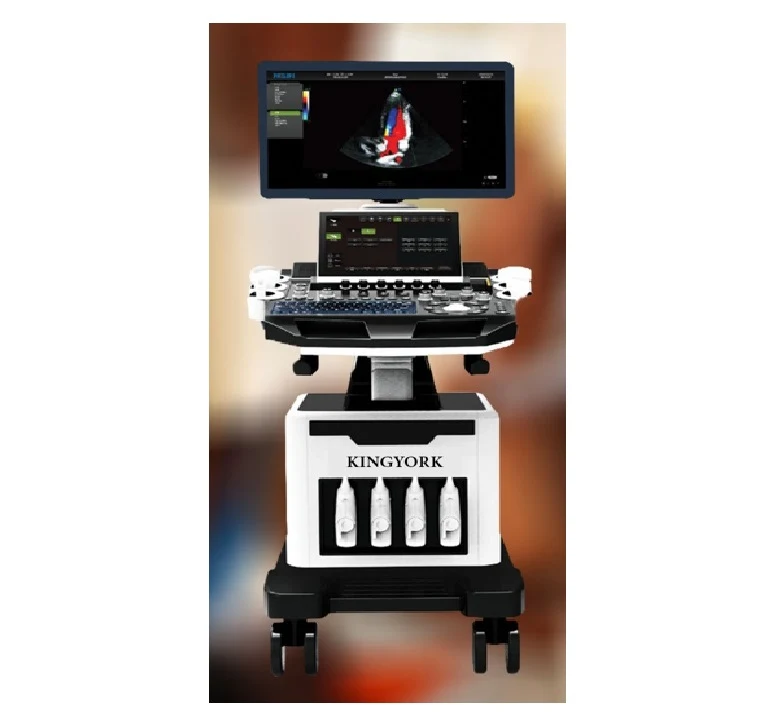 Trolly color ultrasound